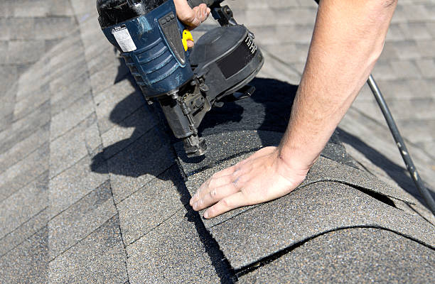 Best Solar Panel Roofing Installation  in Janesville, WI